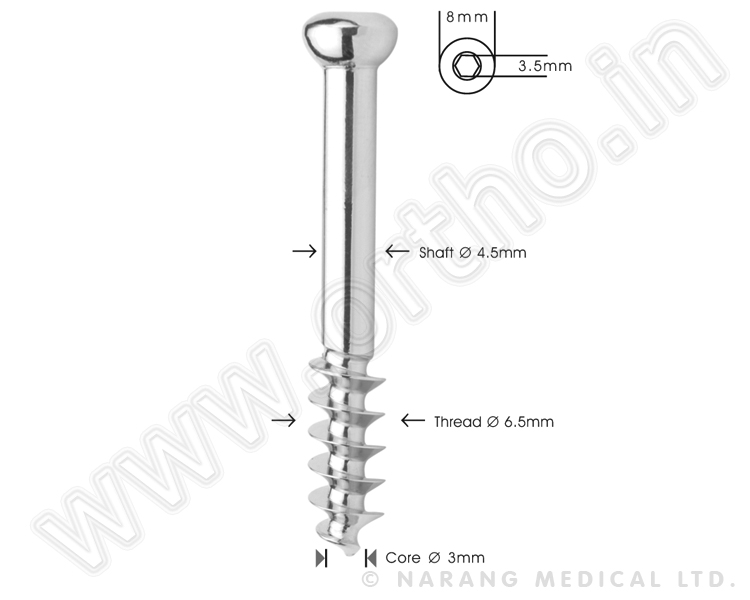 Vet Cancellous Bone Screw  Ø  6.5mm, 16mm Thread